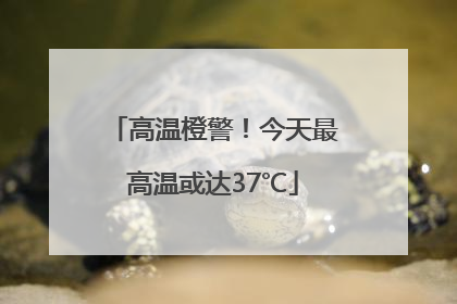 高温橙警！今天最高温或达37℃