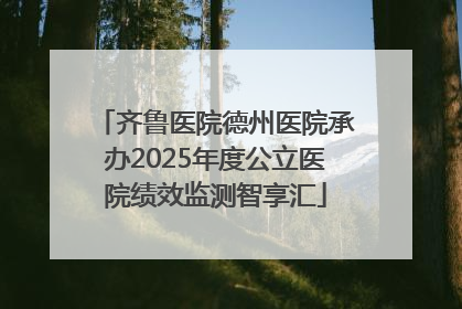 齐鲁医院德州医院承办2025年度公立医院绩效监测智享汇
