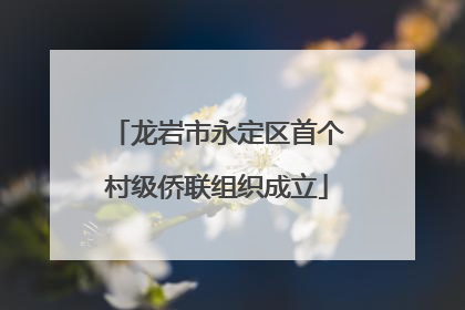 龙岩市永定区首个村级侨联组织成立