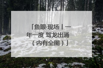 鱼眼·现场丨一年一度 驾龙出涌（内有全图）