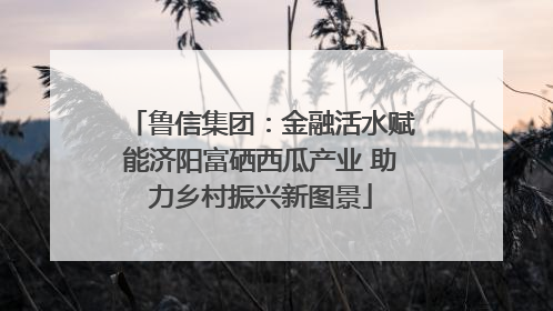 鲁信集团：金融活水赋能济阳富硒西瓜产业 助力乡村振兴新图景