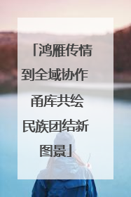 鸿雁传情到全域协作 甬库共绘民族团结新图景