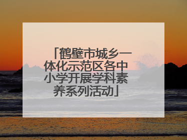 鹤壁市城乡一体化示范区各中小学开展学科素养系列活动