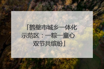 鹤壁市城乡一体化示范区：一粽一童心 双节共缤纷