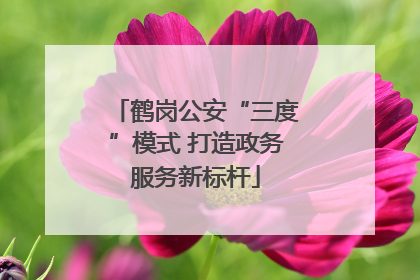鹤岗公安“三度”模式 打造政务服务新标杆