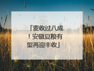 麦收过八成！安徽夏粮有望再迎丰收