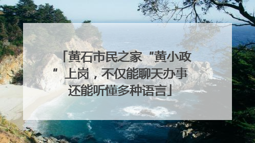 黄石市民之家“黄小政”上岗，不仅能聊天办事还能听懂多种语言