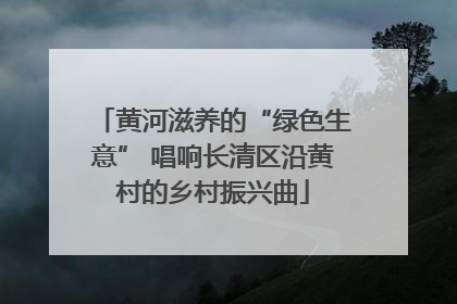 黄河滋养的“绿色生意” 唱响长清区沿黄村的乡村振兴曲