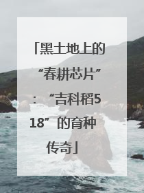 黑土地上的“春耕芯片”：“吉科稻518”的育种传奇