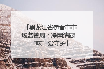 黑龙江省伊春市市场监管局：净网清厨 “味”爱守护