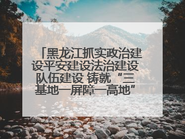黑龙江抓实政治建设平安建设法治建设队伍建设 铸就“三基地一屏障一高地”安全基石