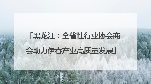 黑龙江：全省性行业协会商会助力伊春产业高质量发展