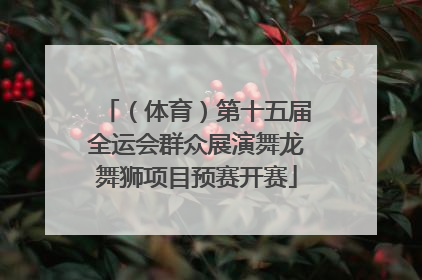 （体育）第十五届全运会群众展演舞龙舞狮项目预赛开赛