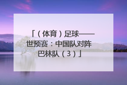 （体育）足球——世预赛：中国队对阵巴林队（3）