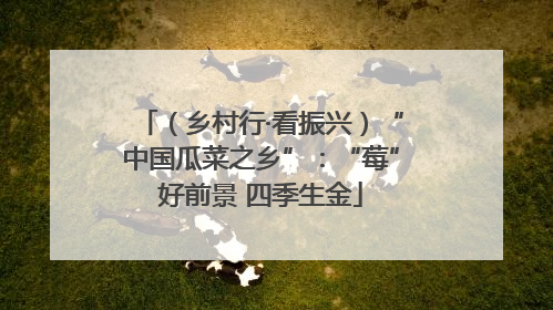 （乡村行·看振兴）“中国瓜菜之乡”：“莓”好前景 四季生金