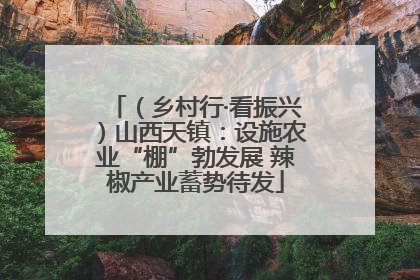 （乡村行·看振兴）山西天镇：设施农业“棚”勃发展 辣椒产业蓄势待发
