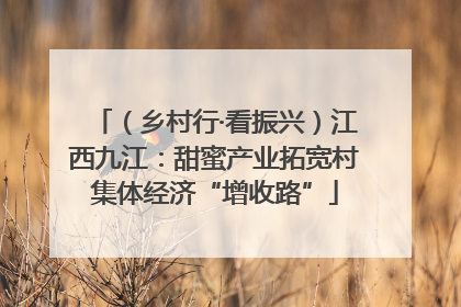 （乡村行·看振兴）江西九江：甜蜜产业拓宽村集体经济“增收路”