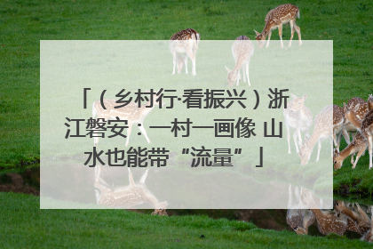 （乡村行·看振兴）浙江磐安：一村一画像 山水也能带“流量”