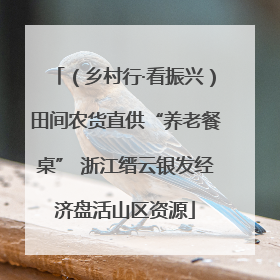 （乡村行·看振兴）田间农货直供“养老餐桌” 浙江缙云银发经济盘活山区资源
