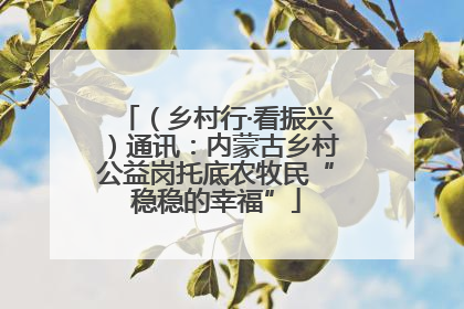 （乡村行·看振兴）通讯：内蒙古乡村公益岗托底农牧民“稳稳的幸福”