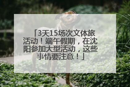 3天15场次文体旅活动！端午假期，在沈阳参加大型活动，这些事情要注意！