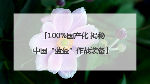 100%国产化 揭秘中国“蓝盔”作战装备