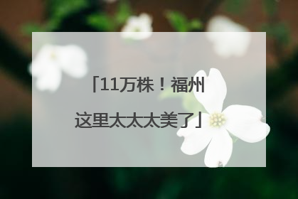 11万株！福州这里太太太美了