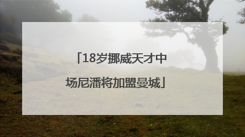 18岁挪威天才中场尼潘将加盟曼城