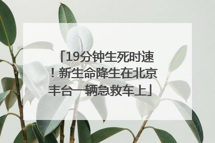 19分钟生死时速！新生命降生在北京丰台一辆急救车上