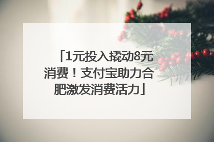 1元投入撬动8元消费！支付宝助力合肥激发消费活力