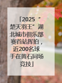 2025“楚天羽王”湖北城市俱乐部赛首站挥拍，近200名球手在黄石同场竞技