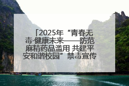 2025年“青春无毒·健康未来——防范麻精药品滥用 共建平安和谐校园”禁毒宣传专题活动在咸宁举行