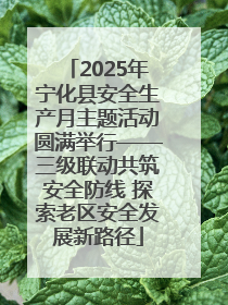 2025年宁化县安全生产月主题活动圆满举行——三级联动共筑安全防线 探索老区安全发展新路径
