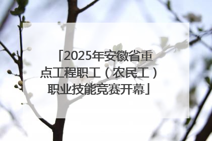 2025年安徽省重点工程职工（农民工）职业技能竞赛开幕