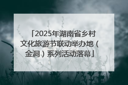 2025年湖南省乡村文化旅游节联动举办地（金洞）系列活动落幕