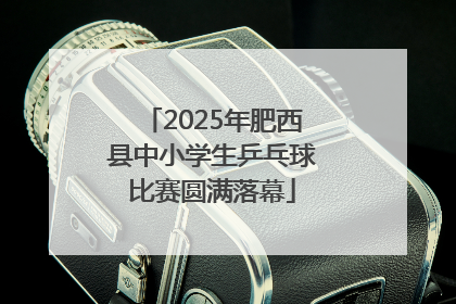 2025年肥西县中小学生乒乓球比赛圆满落幕
