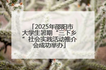 2025年邵阳市大学生暑期“三下乡”社会实践活动推介会成功举办