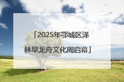 2025年鄂城区泽林旱龙舟文化周启幕