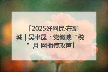 2025好网民·在聊城｜吴聿晟：党徽映“税”月 网播传政声