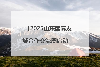 2025山东国际友城合作交流周启动