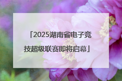 2025湖南省电子竞技超级联赛即将启幕