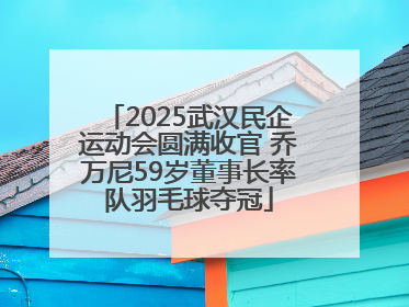 2025武汉民企运动会圆满收官 乔万尼59岁董事长率队羽毛球夺冠