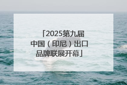 2025第九届中国（印尼）出口品牌联展开幕