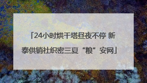 24小时烘干塔昼夜不停 新泰供销社织密三夏“粮”安网
