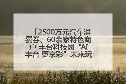 2500万元汽车消费券、60余家特色商户 丰台科技园“AI丰台 更京彩”未来玩家市集活动正式开幕
