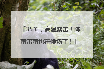 35℃，高温暴击！阵雨雷雨也在候场了！