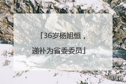 36岁杨旭恒，递补为省委委员