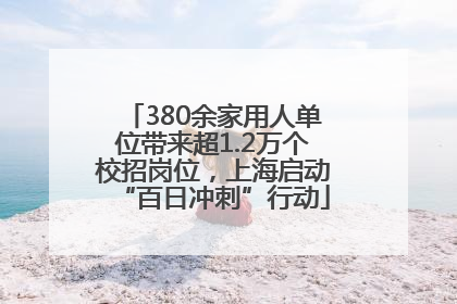 380余家用人单位带来超1.2万个校招岗位，上海启动“百日冲刺”行动