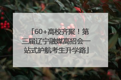 60+高校齐聚！第三届辽宁融媒高招会一站式护航考生升学路