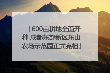 600亩耕地全面开种 成都东部新区东山农场示范园正式亮相